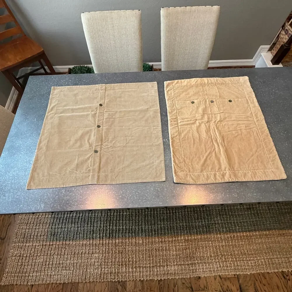 Two Pottery Barn Velvet Pillow Covers 20